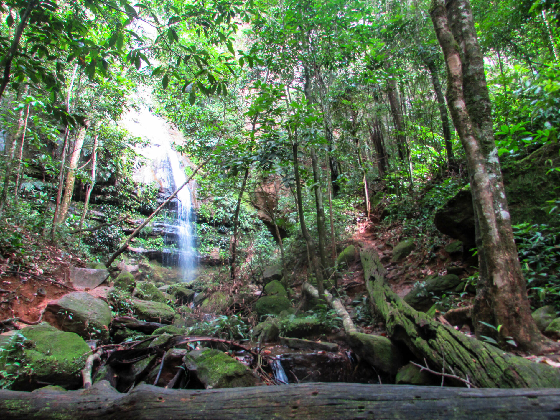 jalapão state park tours
