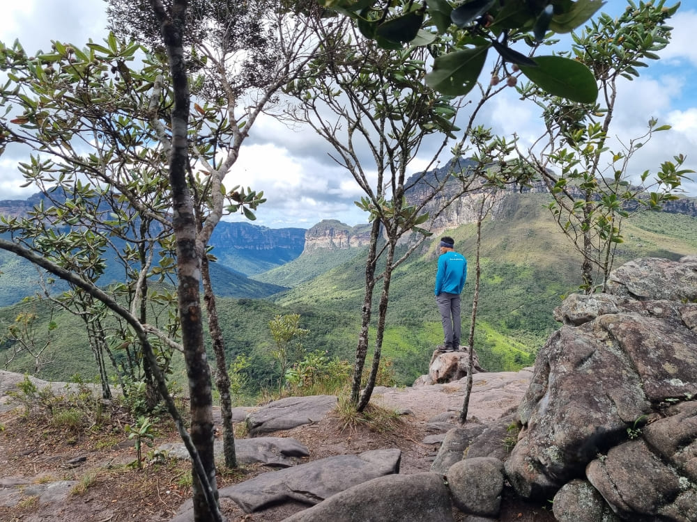 A hiker in a blue jacket standing on a rock framed by trees, looking toward a flat-topped mountain in the distance. A hiker in a blue jacket standing on a rock framed by trees, looking toward a flat-topped mountain in the distance.