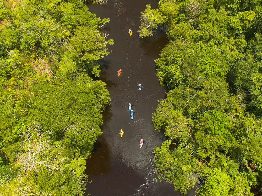 Aerial view of a group of tourists kayaking on a dark Amazonian river surrounded by dense green forest. Aerial view of a group of tourists kayaking on a dark Amazonian river surrounded by dense green forest.