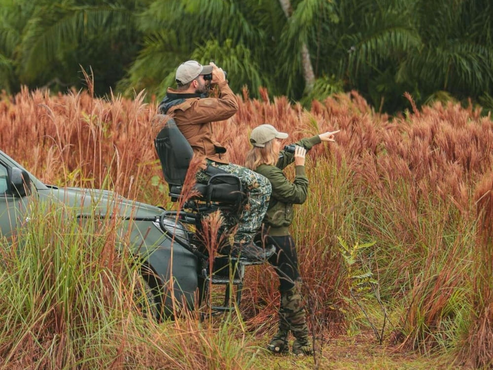 Two tourists use binoculars to spot Pantanal animals during a safari trip in the wetlands. Two tourists use binoculars to spot Pantanal animals during a safari trip in the wetlands.