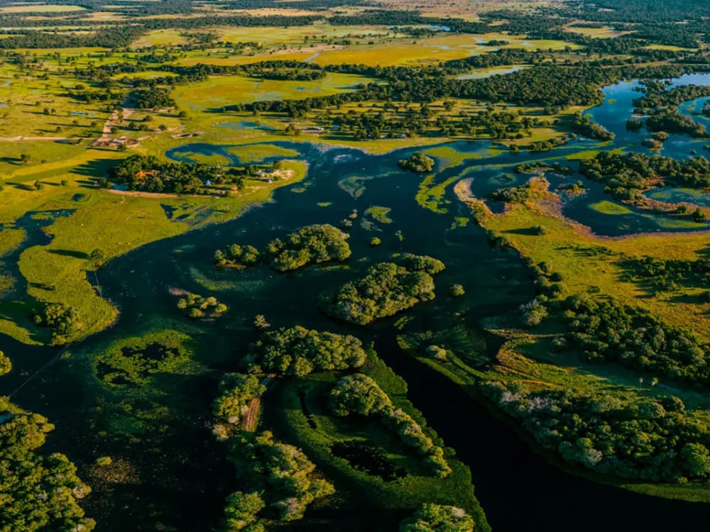Winding rivers and open green savannas dominate the remote landscape of the Southern Pantanal near BaĂa das Pedras. Winding rivers and open green savannas dominate the remote landscape of the Southern Pantanal near BaĂa das Pedras.