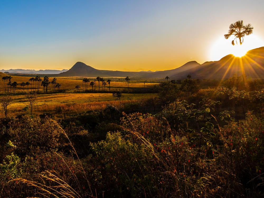 Chapada dos Veadeiros