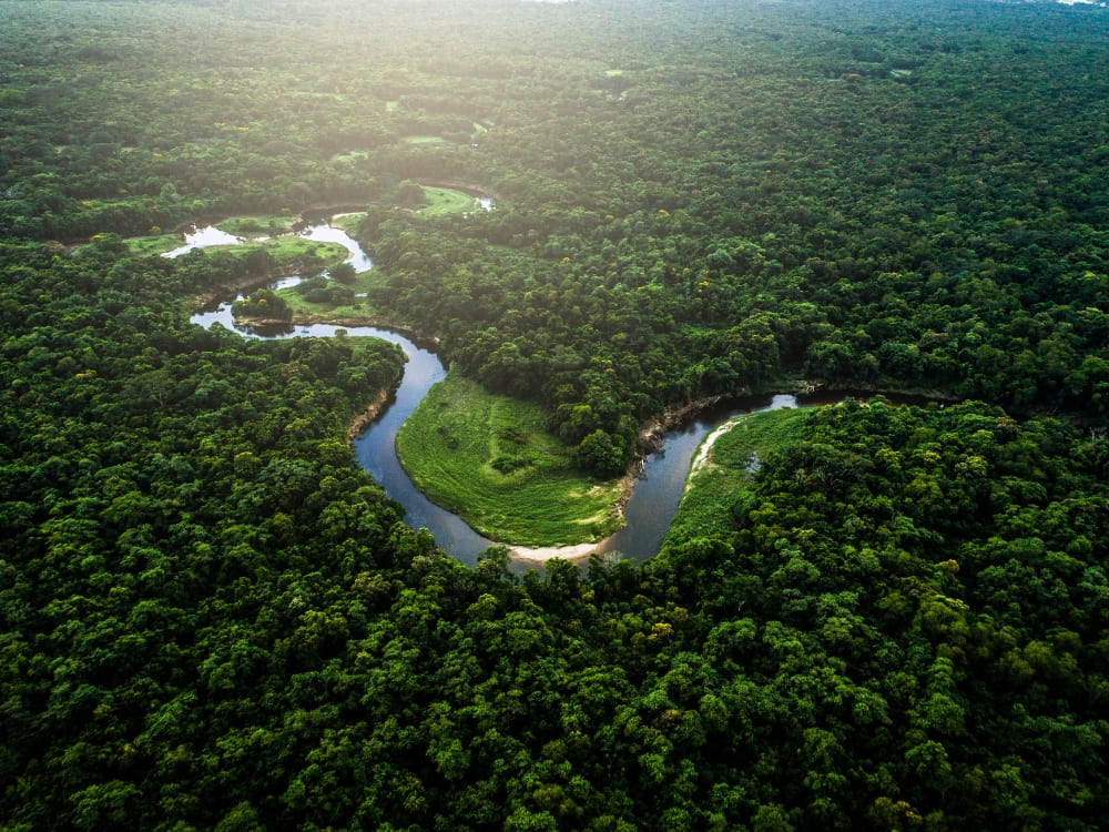 Aerial view of a winding river surrounded by the dense green vegetation of the Amazon Rainforest in Brazil.