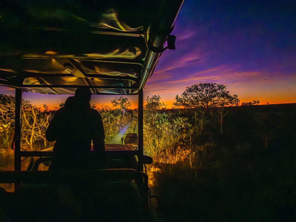 he silhouette of a passenger in a safari vehicle admiring a vibrant purple and orange sunset skyline in the Cerrado.
