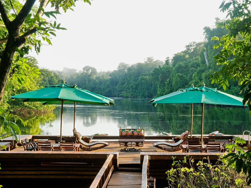 Wooden deck over the water with lounge chairs and large green umbrellas surrounded by trees.