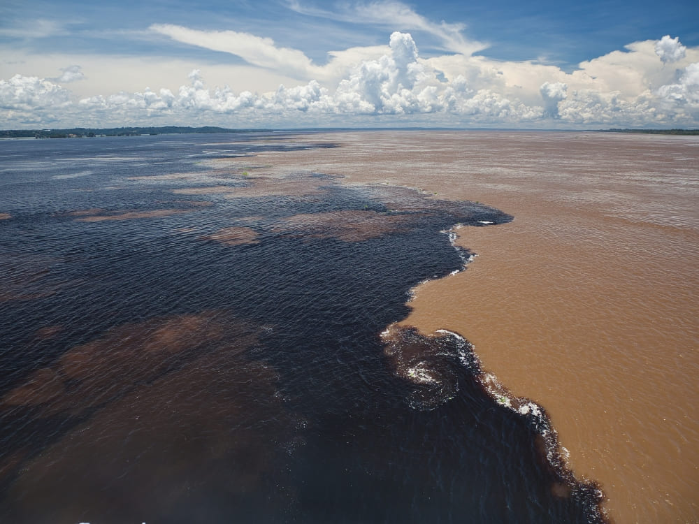 Aerial view of the Meeting of the Waters where the dark Rio Negro flows alongside the muddy Solimões River without mixing. Aerial view of the Meeting of the Waters where the dark Rio Negro flows alongside the muddy Solimões River without mixing.
