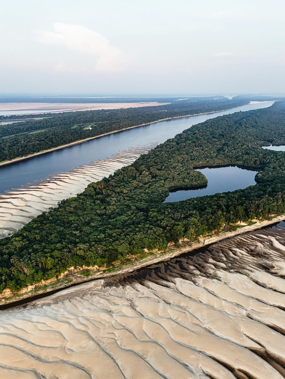 Aerial view of the Amazon River during the dry season showing exposed sandbanks along the forest edge. Aerial view of the Amazon River during the dry season showing exposed sandbanks along the forest edge.