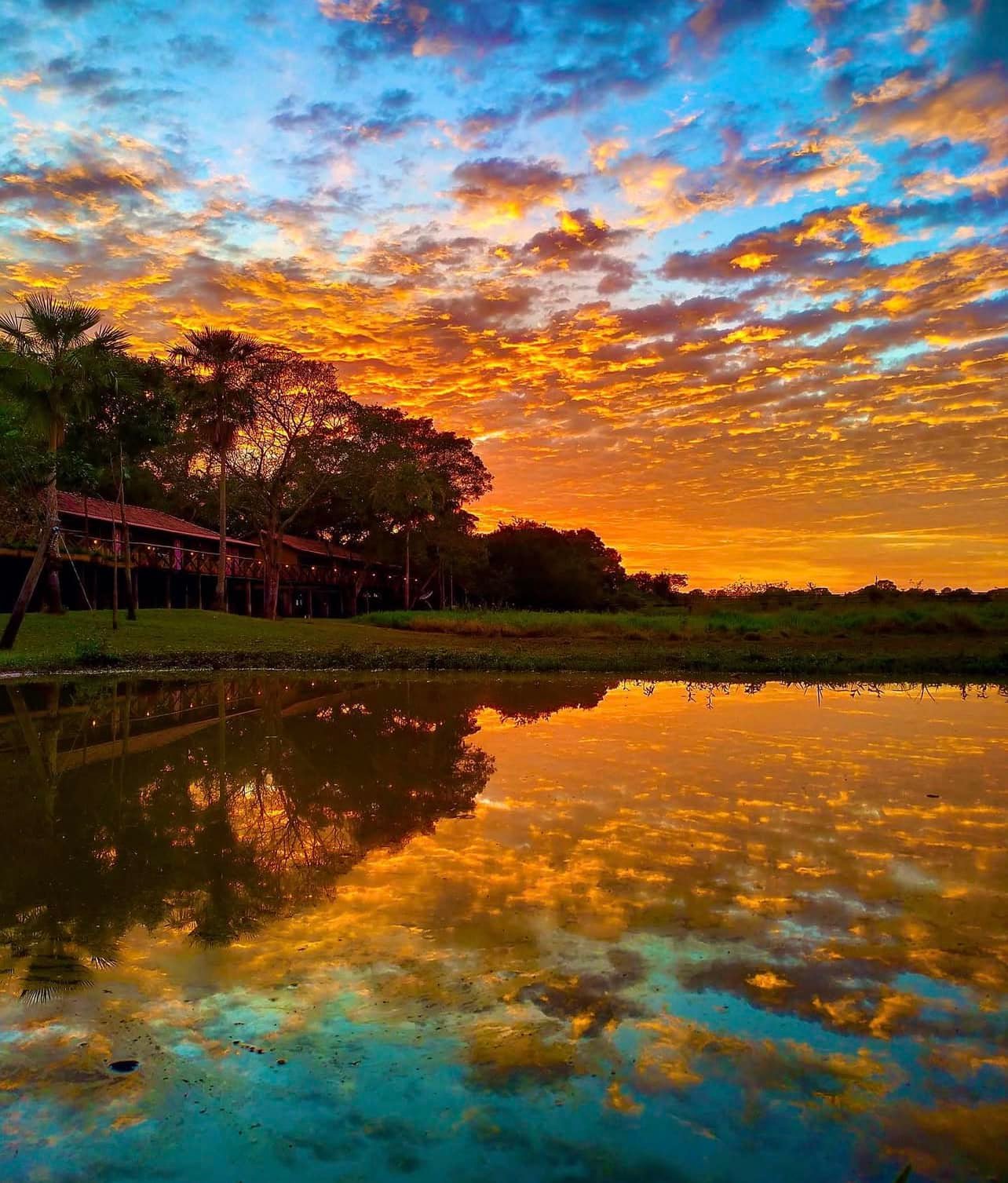 Een vurig oranje en blauwe zonsonderganghemel weerspiegeld in het stille water van de Miranda-rivier, met een rustieke budget Pantanal lodge als silhouet tussen palmbomen op de linkeroever