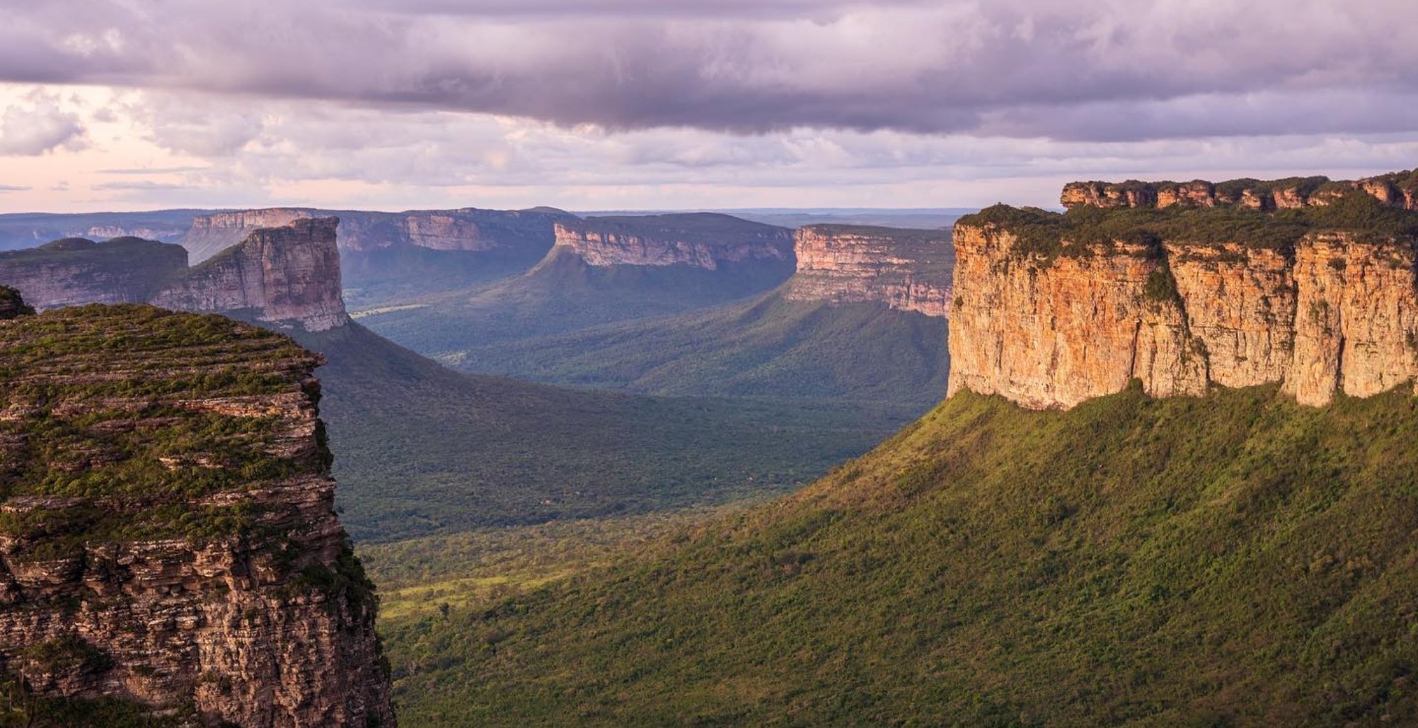 Panoramic view of sandstone table-top mountains and a deep forested valley in Chapada Diamantina National Park under a purple-tinged cloudy sky at dusk