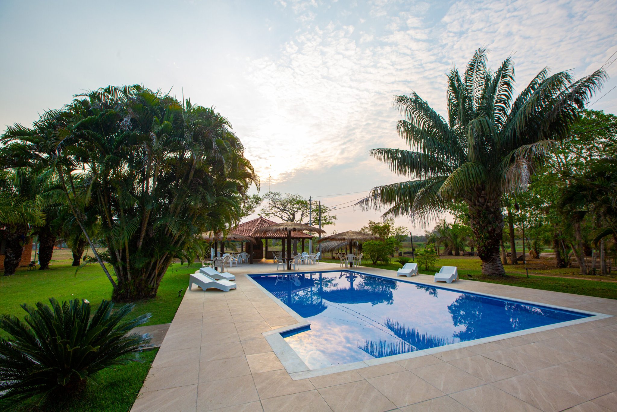 Gute Beobachtungstage enden hier, am Rand des Pools, mit einem kühlen Getränk. Außenpool mit weißen Liegestühlen und einem Reetdach-Pavillon, umgeben von Palmen in einer Pantanal-Jaguar-Fotosafari-Lodge unter einem milden Abendhimmel