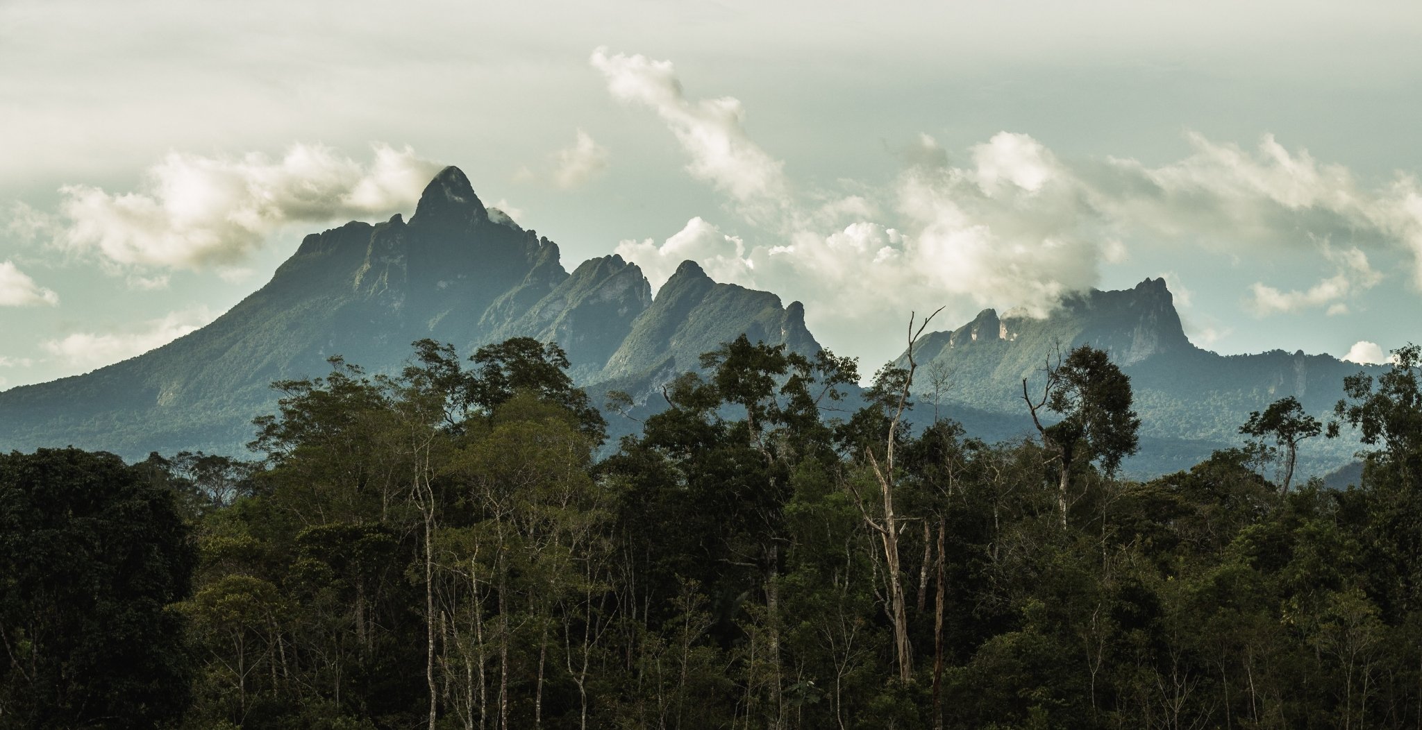 Jagged granite peaks of the Pico da Neblina Expedition range rise above a dense Amazon rainforest canopy under a partly cloudy sky, with clouds clinging to the higher summits