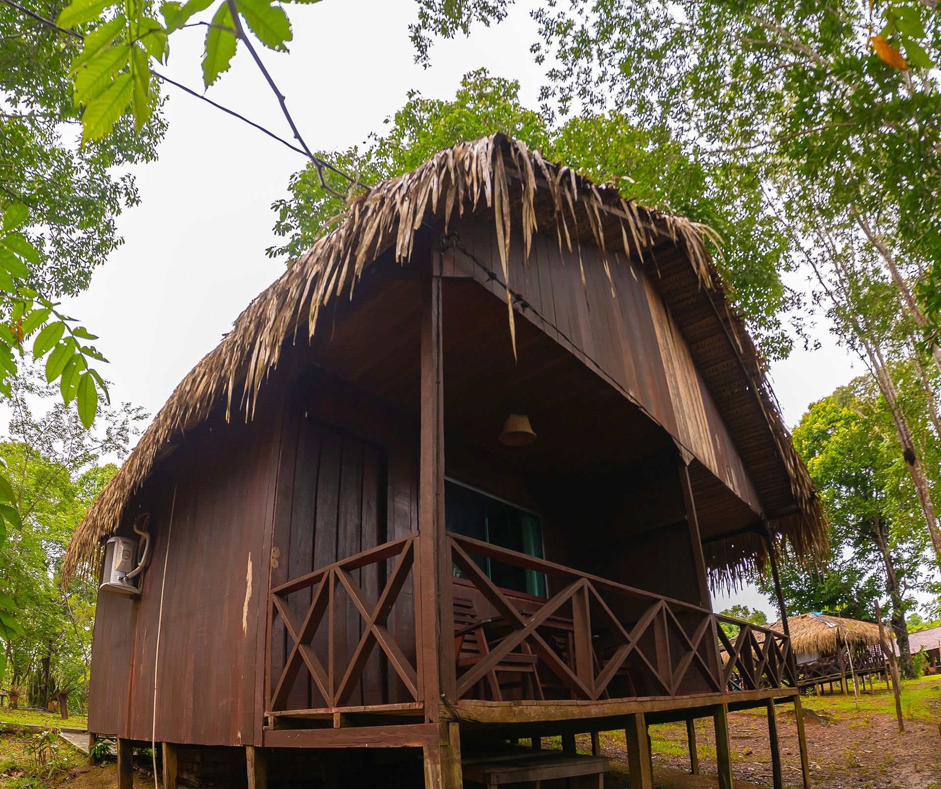 Slapen met het regenwoud als achtertuin. Een ronde houten bungalow met breed palmstrodak bij Amazon Turtle Lodge, omgeven door hoge regenwoudbomen met een veranda en kruishouten balustrade
