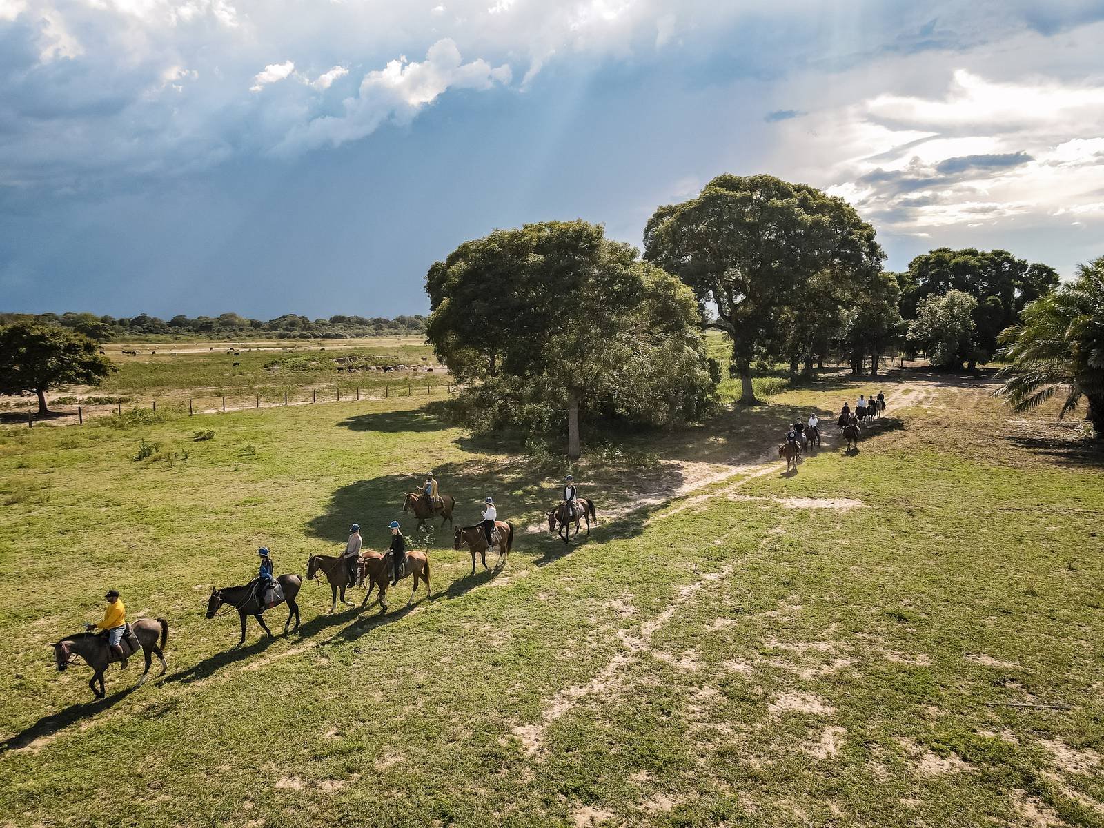 Luchtfoto van een groep ruiters die een onverharde weg volgt door groene open velden tijdens een budget Pantanal-tour, met grote bomen en een dramatische bewolkte lucht op de achtergrond