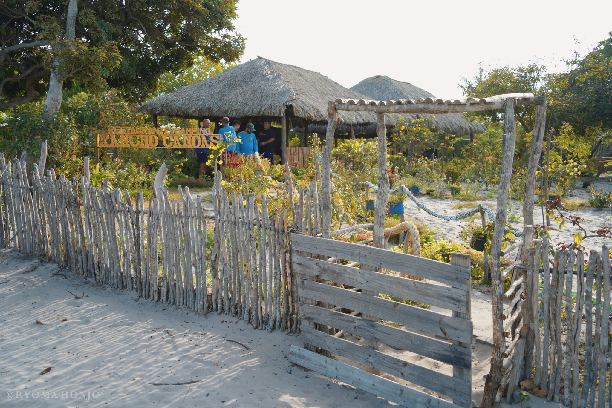 Rustikaler Eingang des Restaurants und Campingplatzes Rancho Canoas in Lençóis Maranhenses Santo Amaro, mit einem Zaun aus Treibholz, reetgedeckten Hütten, blühenden Sträuchern und Guides in blauen Shirts im Hintergrund