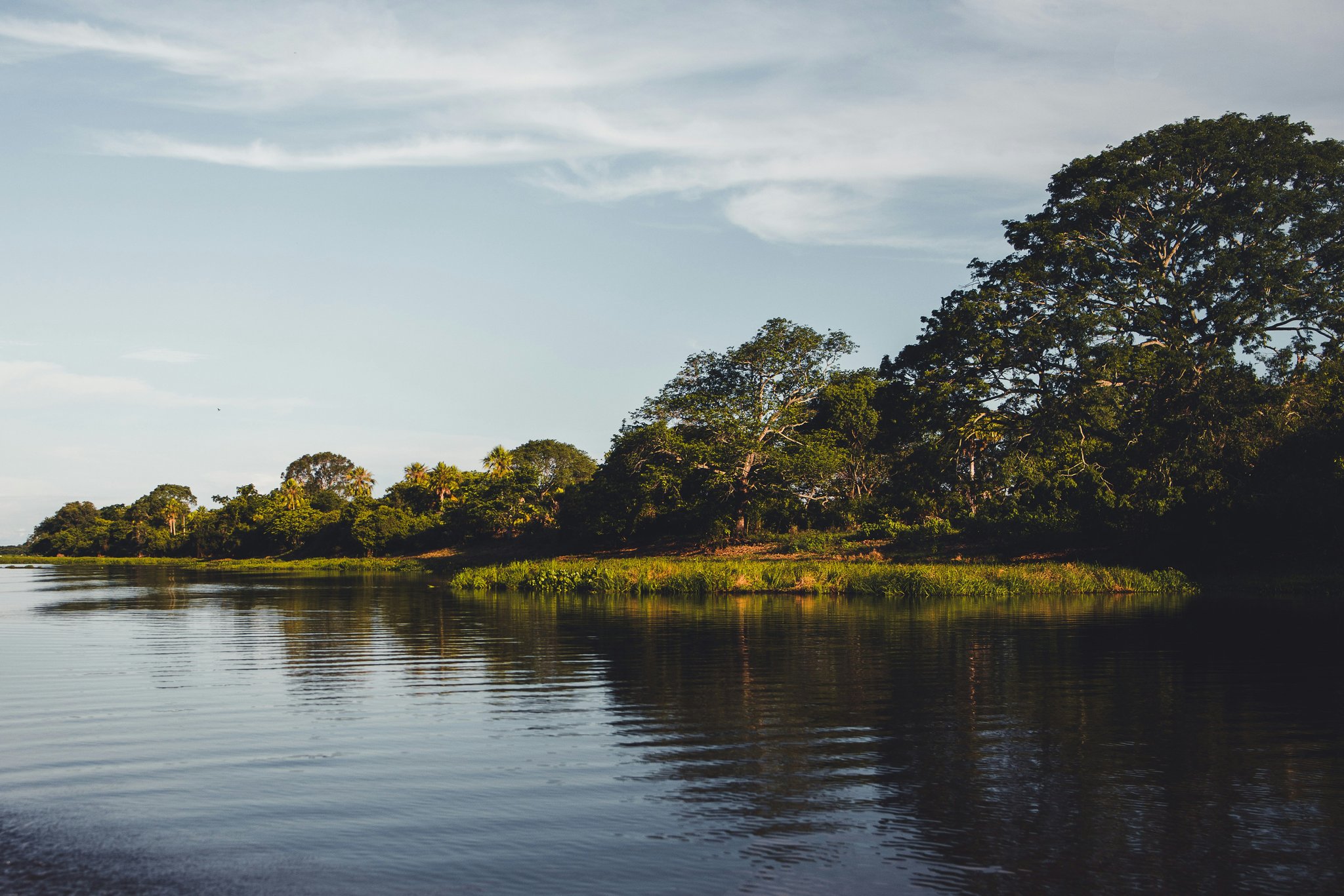 So ruhig, dass man unwillkürlich die Stimme senkt. Ruhiger Flusskanal im Pantanal, der ein bewaldetes Ufer mit hohen Bäumen und niedrigem Wasserpflanzen im warmen Nachmittagslicht spiegelt