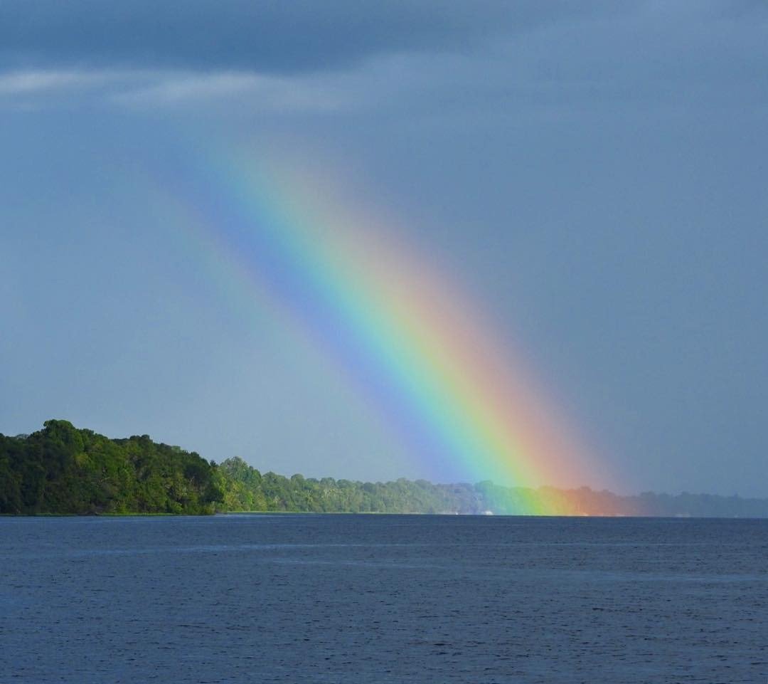 The Amazon has a way of ending its storms with a show. A vivid rainbow arches down to meet the Rio Negro waterline, with a dense wall of Amazon rainforest cruise-country greenery lining the far bank under a stormy grey sky
