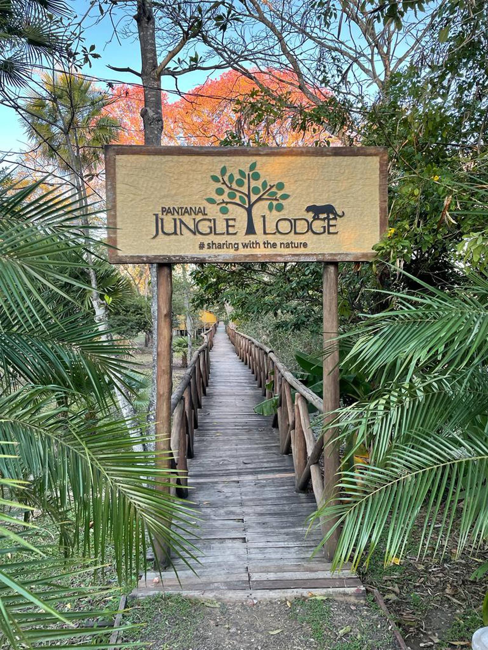 Houten toegangsbrug naar het Pantanal Jungle Lodge, omgeven door palmbladen en een boom met felgekleurde oranje bladeren