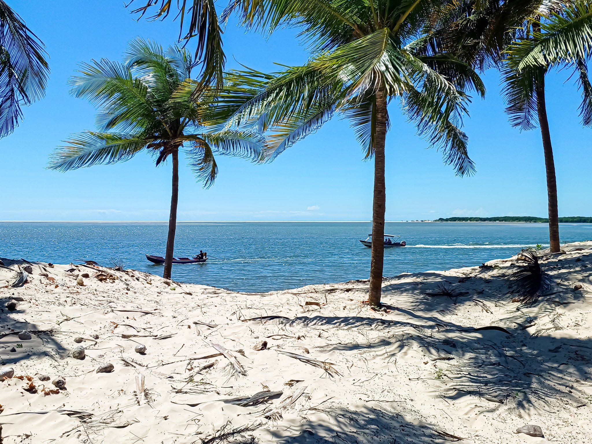 Tall coconut palms cast sharp shadows over a white sand shore along the Preguiças River, with two small speedboats crossing the calm blue water under a cloudless sky — part of the Lençóis Maranhenses full itinerary