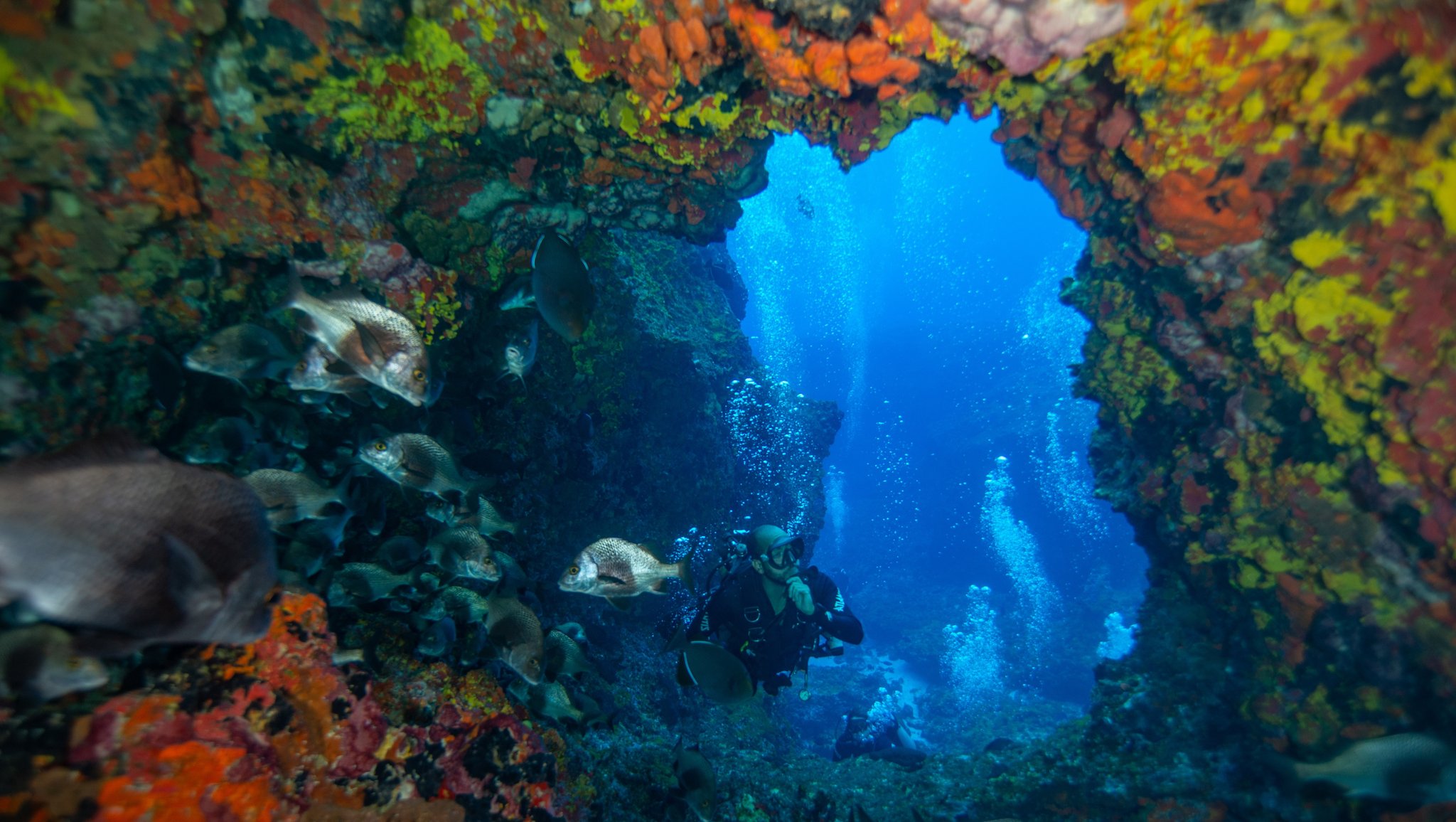 A scuba diver hovers inside a colourful encrusted rock arch during a 2-Day Diving Package in Fernando de Noronha, surrounded by a school of fish and vivid orange and yellow sponges framing a deep blue open water view
