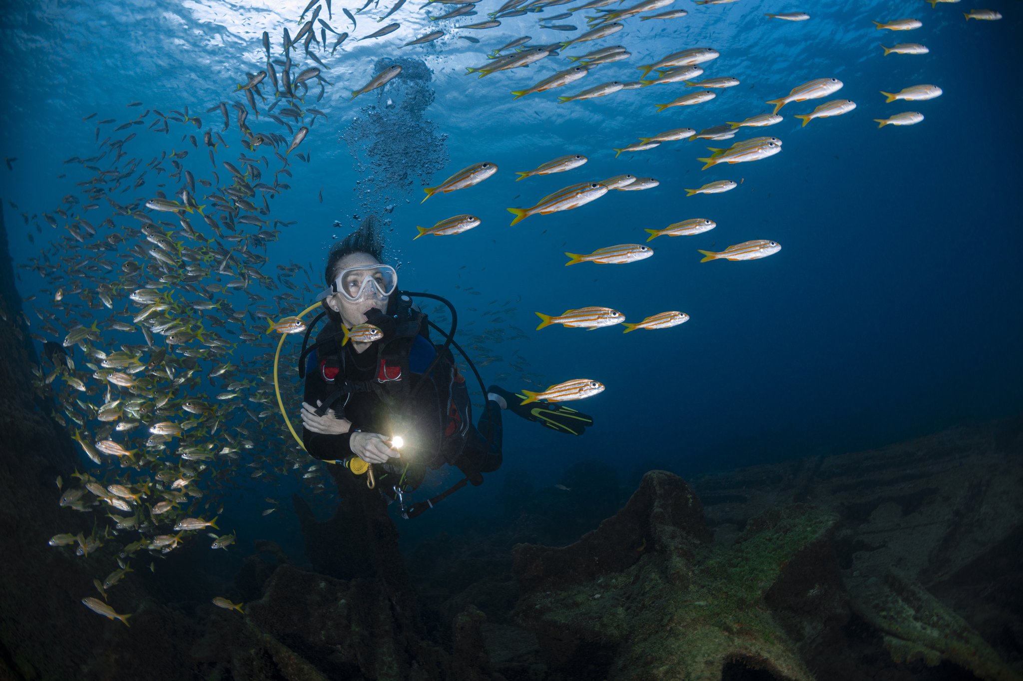 A scuba diver holding a torch hovers among a dense school of yellow-striped fish over a rocky reef during a 2-Day Diving Package in Fernando de Noronha