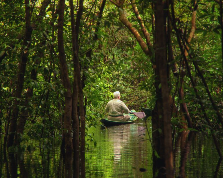 10 dicas de viagem para a Amazônia para aproveitar sua aventura ao máximo