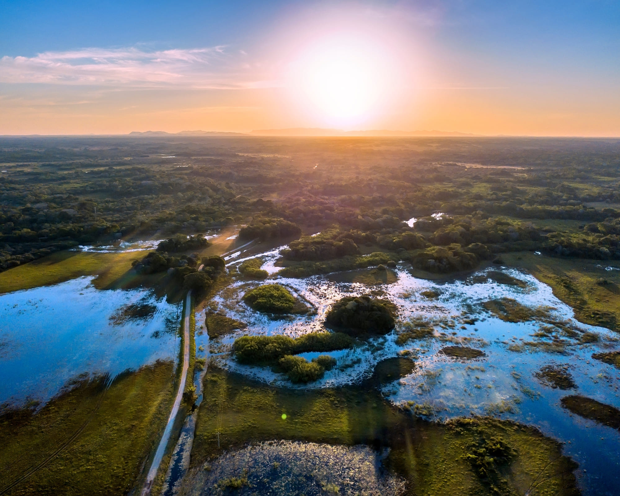 3 Ways Sustainable Tourism in the Pantanal Protects Wildlife