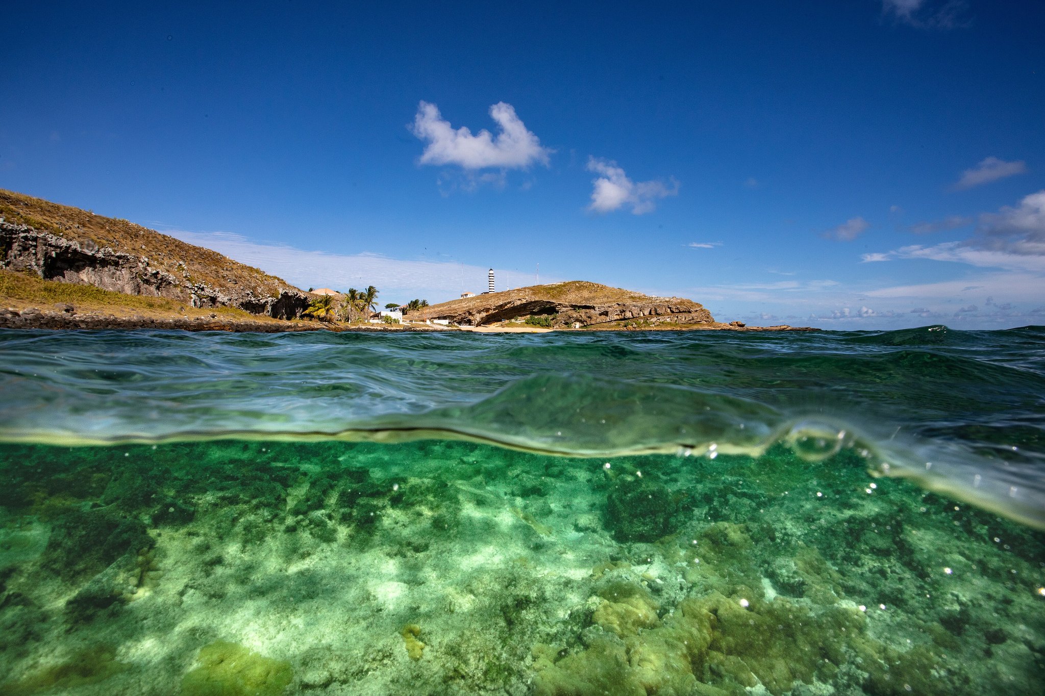 Split-level view of crystal-clear green water over rocky coral reef with the Abrolhos Islands lighthouse and volcanic hillside visible above the waterline under a vivid blue sky
