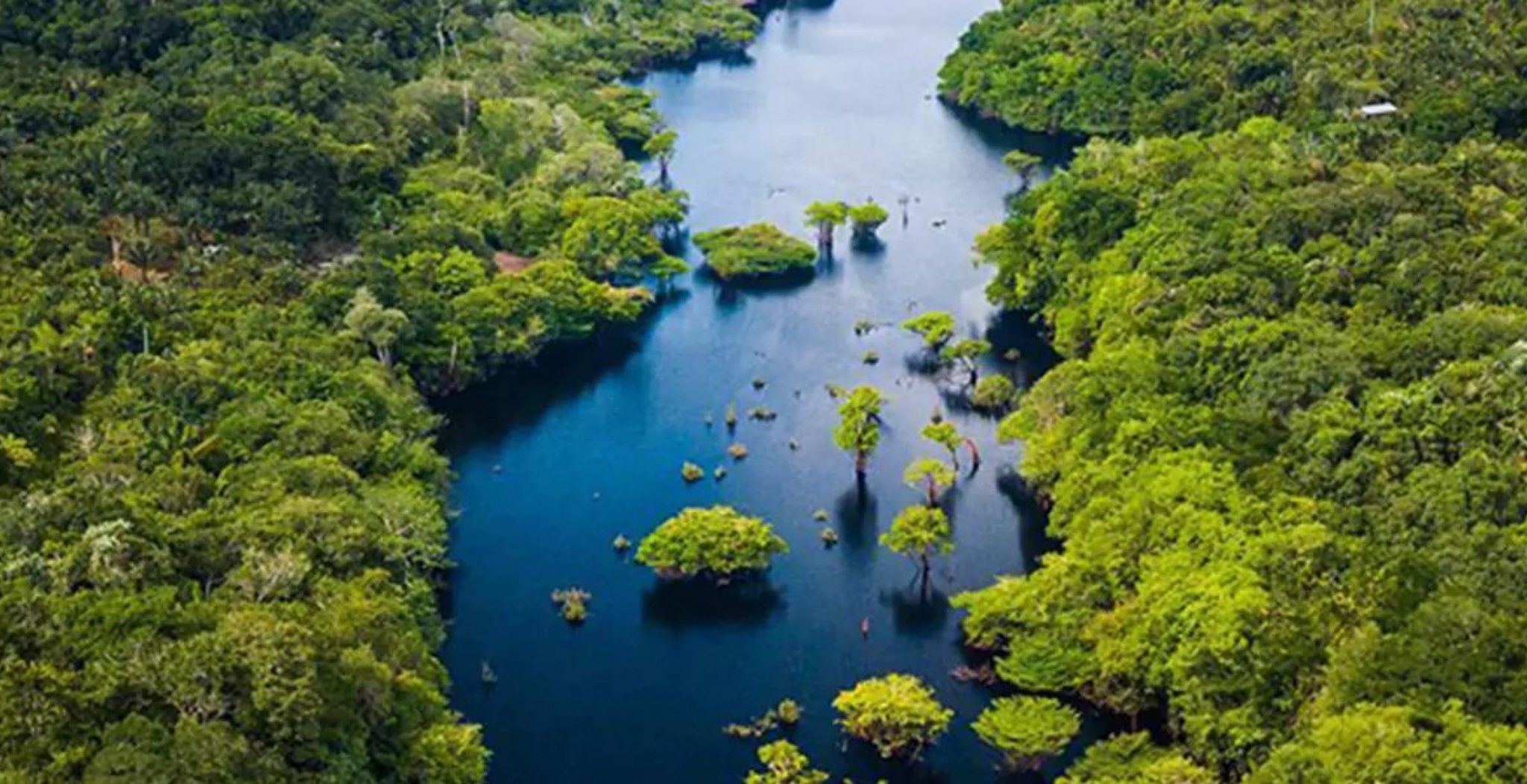 Aerial view of a winding blackwater river through dense rainforest on an Amazon jungle adventure in Brazil