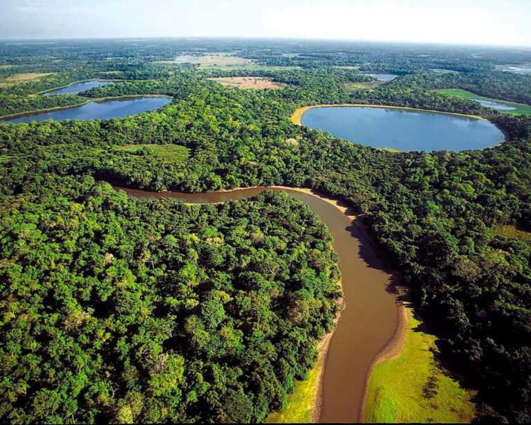 Quelle est la Meilleure Période Pour Aller au Pantanal ? Quelle est la Meilleure Période Pour Aller au Pantanal ?