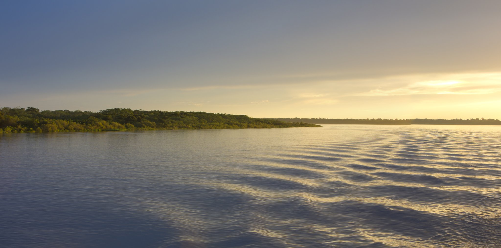 Rippled gold at first light — the river enormous, the forest endless. Photo: piccaya Golden sunrise light reflecting off a wide tropical river during an Amazon cruise from Alter do Chão, with a dense green forest shoreline stretching to the horizon