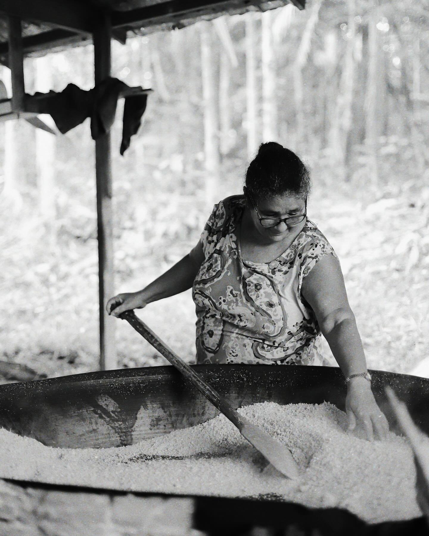 Hands that have stirred this pan a thousand times. A woman toasts cassava flour in a large iron pan at a riverside community flour house, stirring with a wooden paddle during an Amazon Cruise Trip in Brazil
