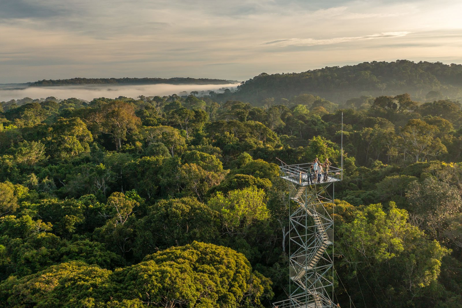 Visitors stand on a steel observation tower rising above the Amazon jungle lodge Brazil canopy, with low morning mist drifting over an endless expanse of rainforest at sunrise