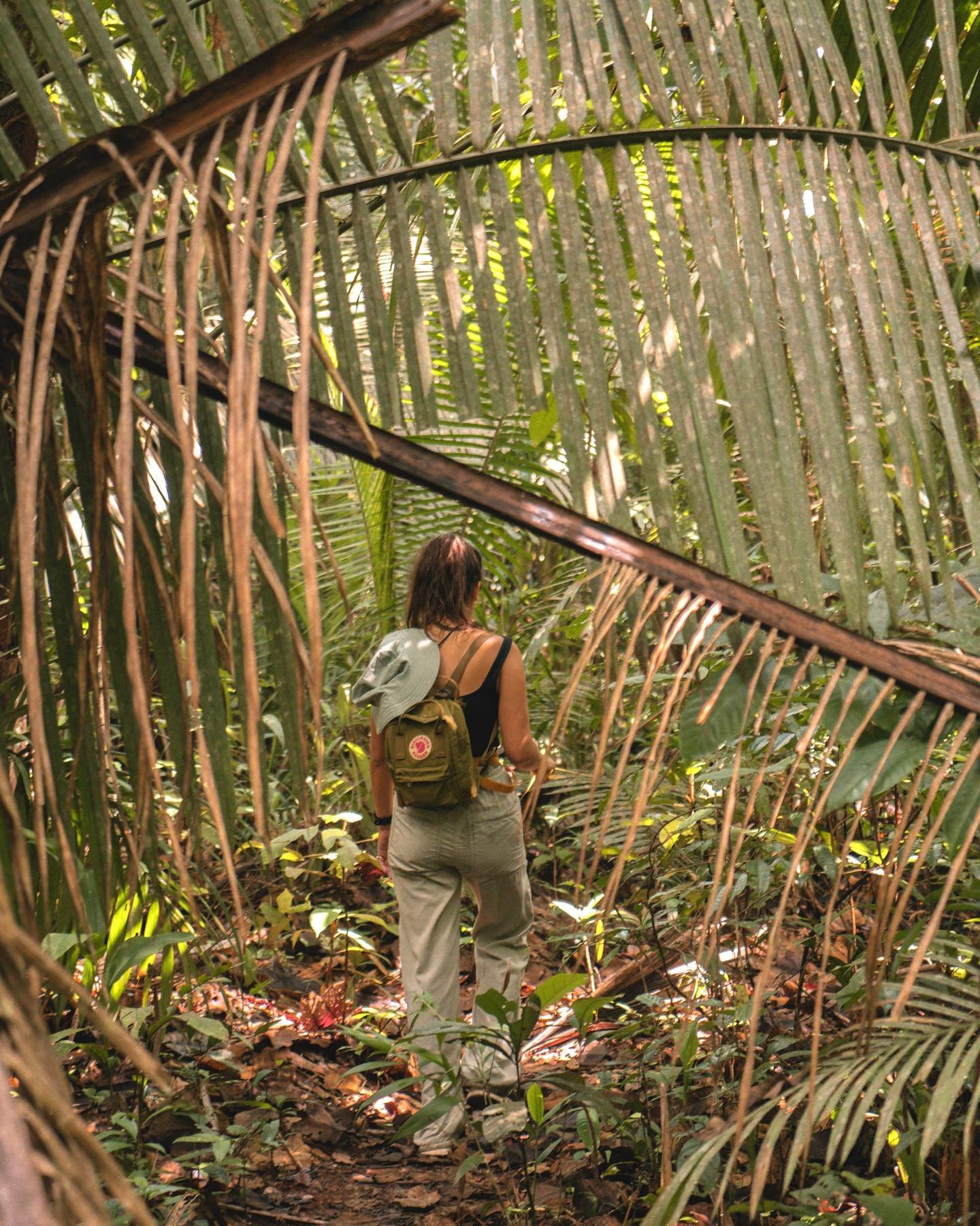 A traveler with a daypack hiking a narrow trail through dense palms on an Amazon jungle tour in Brazil