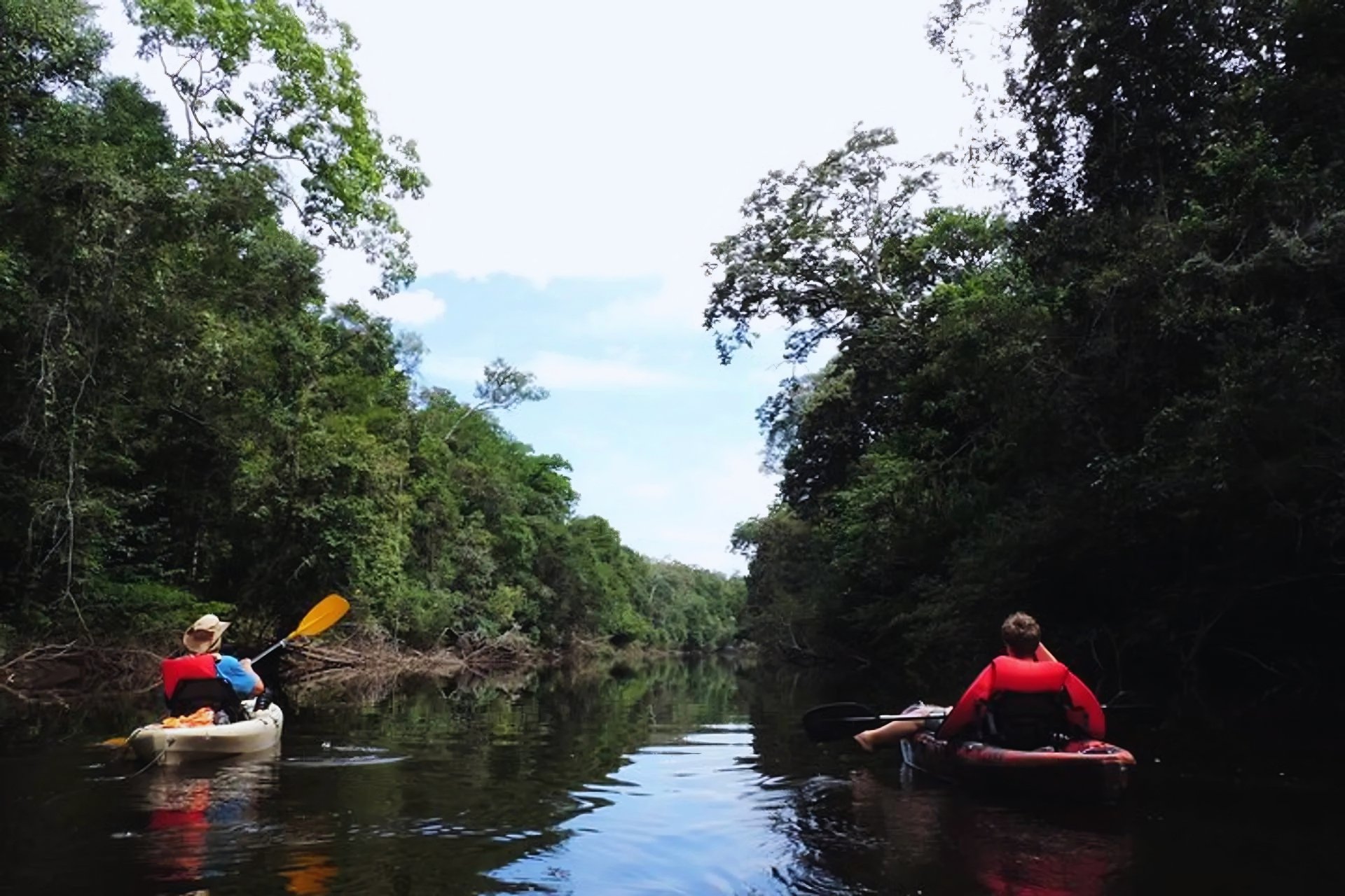 De rivier bepaalt het tempo, en hier pas je je daar gewoon bij aan. Twee kajakkers in rode reddingsvesten peddelen zij aan zij over een smal, donker rivierkanaal tijdens een Amazon kajakrondrit in Brazilië, met dicht regenwoudkroonlaag aan beide oevers
