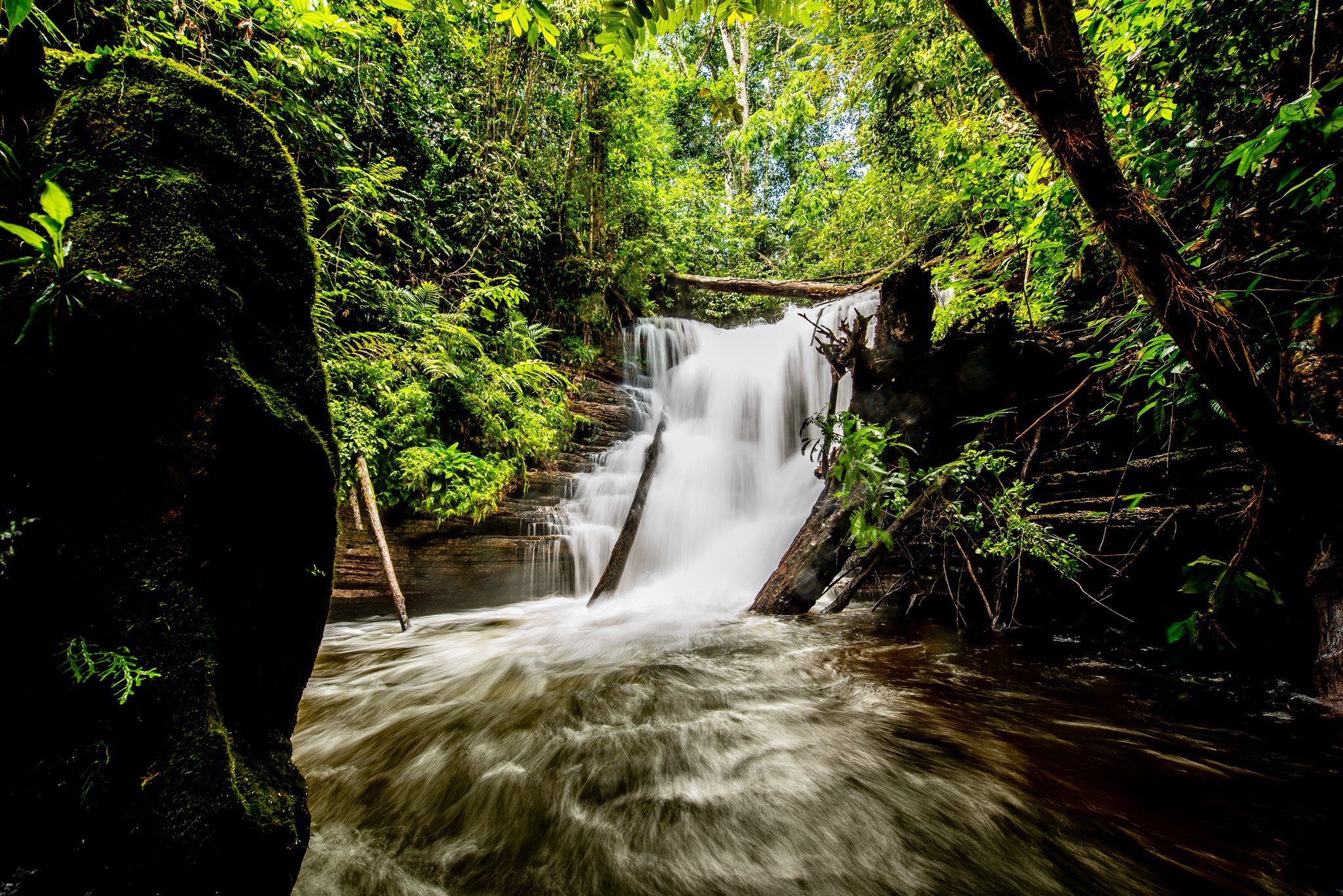 Dit is het deel van het woud dat je niet hoeft te zoeken, je hoort het al van ver. Een zijdezachte gelaagde waterval stroomt over bemoste rotsen in een kolkende bospoel, omgeven door een dicht tropisch regenwoudkroonlaag tijdens een Amazon kajakrondreizen in Brazilië