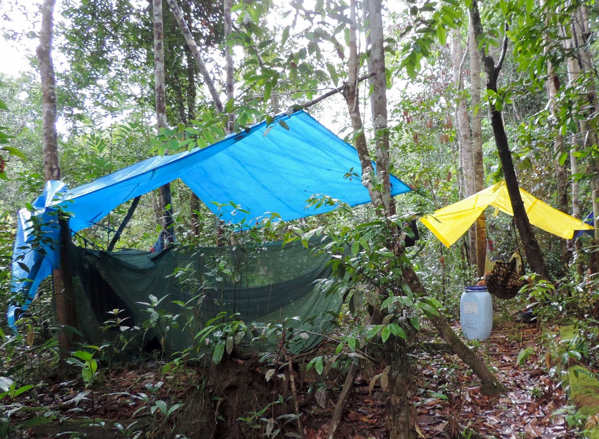 Kamp opgebouwd, regen kan komen. Een blauwe en een gele regenzeil gespannen tussen bomen beschermen een hangmat met klamboe in het dichte regenwoud — het rustieke kampeerverblijf van de Amazon kajakvakantie in Brazilië