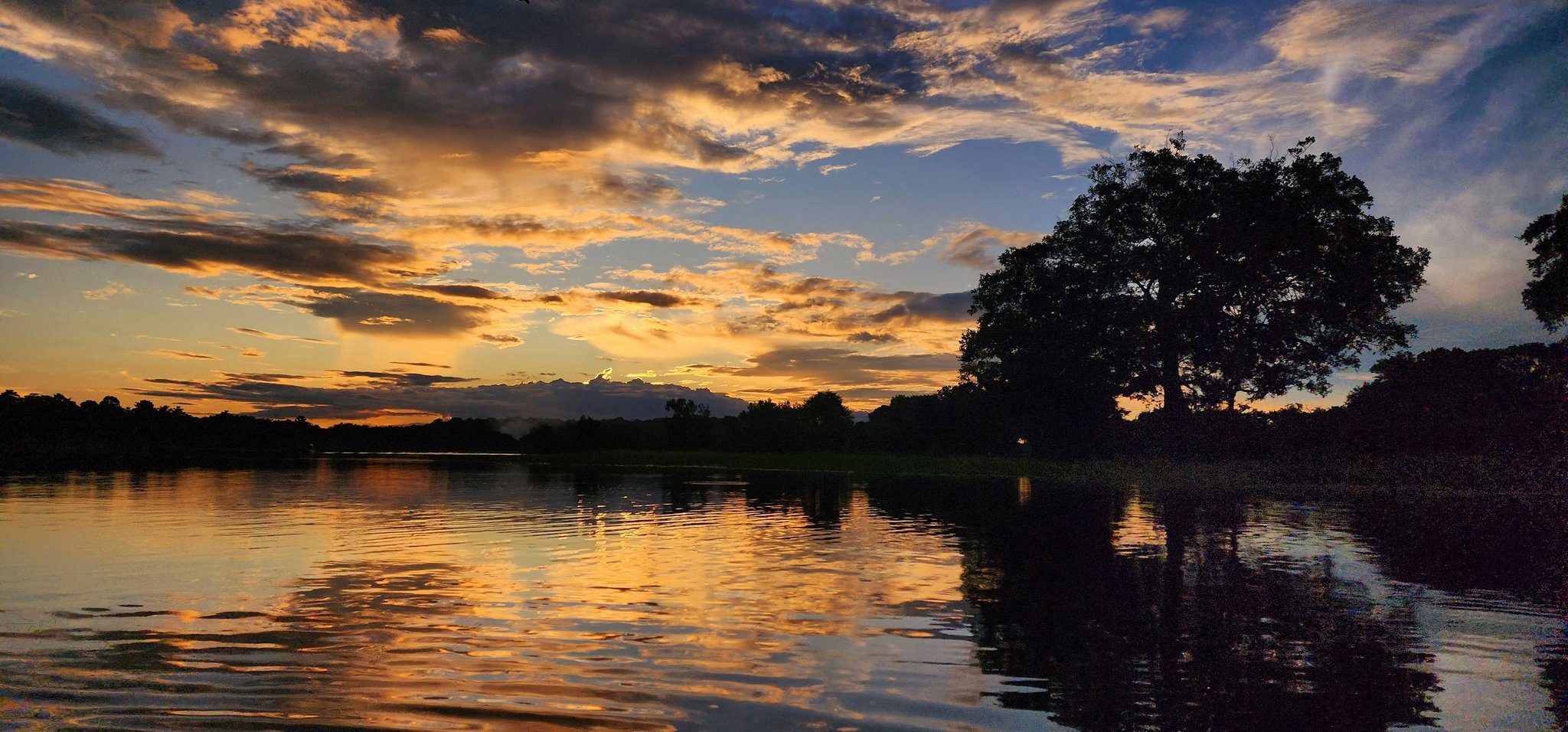 Het water onthoudt elke kleur die de lucht vergeet. Gouden zonsondergang weerspiegeld in een rustige tropische rivier, met boomsilhouetten en een dramatisch bewolkte lucht