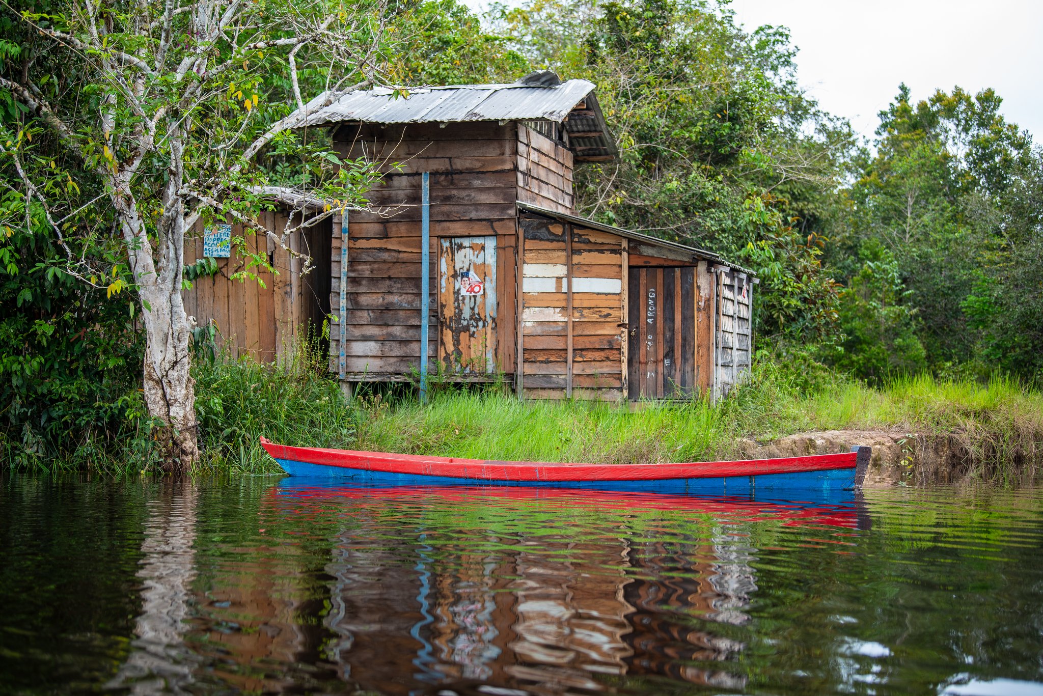 Een kano, een hut, en een rivier die zich nergens voor haast. Een rood-blauwe houten kano gemeerd op een donkere rivier voor een verweerde houten hut omringd door dicht regenwoudgebladerte