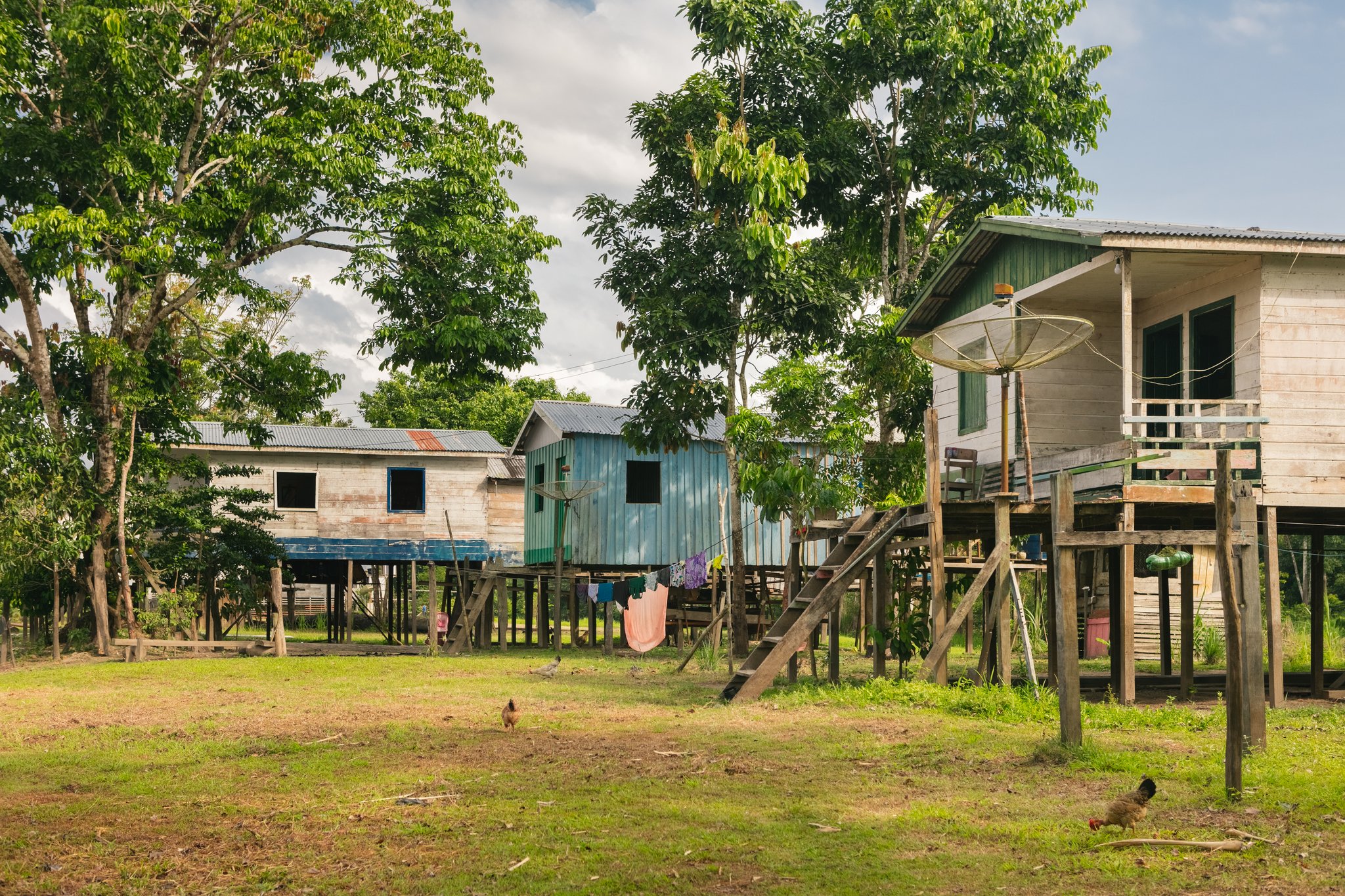 Chickens underfoot, laundry on the line — everyday life in a community shaped by the river's rise and fall. Photo: Guilherme Gomes Wooden stilt houses with corrugated metal roofs in a riverside community, laundry hanging beneath raised floors and chickens roaming the grass — a glimpse of daily life on an amazon rainforest ecolodge trip in brazil