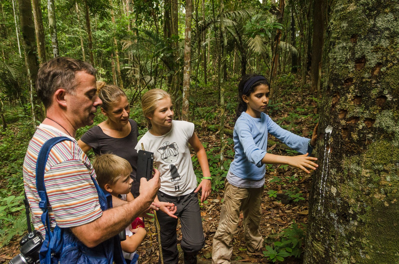 Fresh latex, curious hands — the rainforest teaches at every turn. Photo: Leonide Principe A family with two children touches white latex oozing from a large tree trunk during an amazon rainforest ecolodge trip in brazil, with a guide explaining in a dense tropical forest