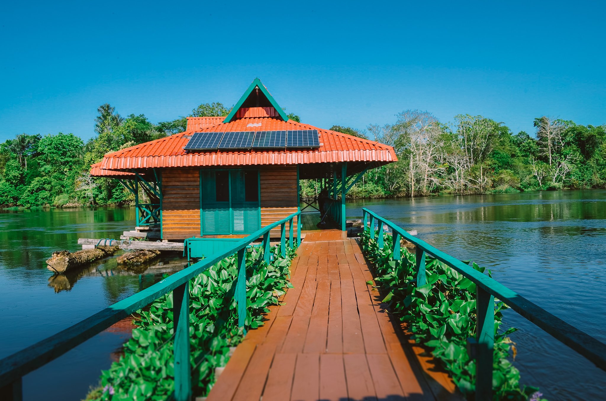 Eine Holzhütte auf Stelzen über einem ruhigen Fluss, mit Solarpaneelen auf dem orangefarbenen Dach und einem Holzsteg, gesäumt von Wasserpflanzen, inmitten dichter tropischer Vegetation
