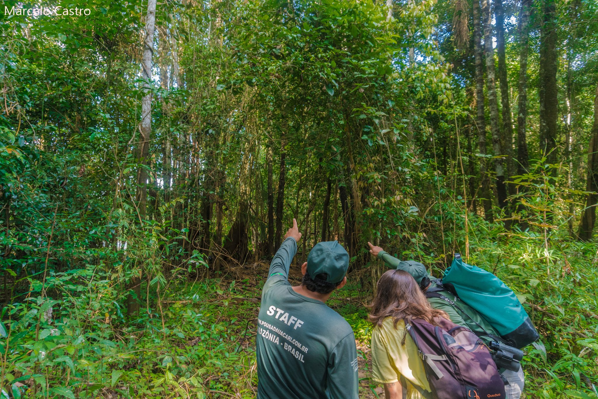 Two sets of eyes, one forest ceiling — the guide spots what you'd never find alone. Photo: Marcelo Castro A Uakari Lodge staff guide and a guest with a backpack point up into the dense green canopy during an amazon rainforest ecolodge trip in brazil