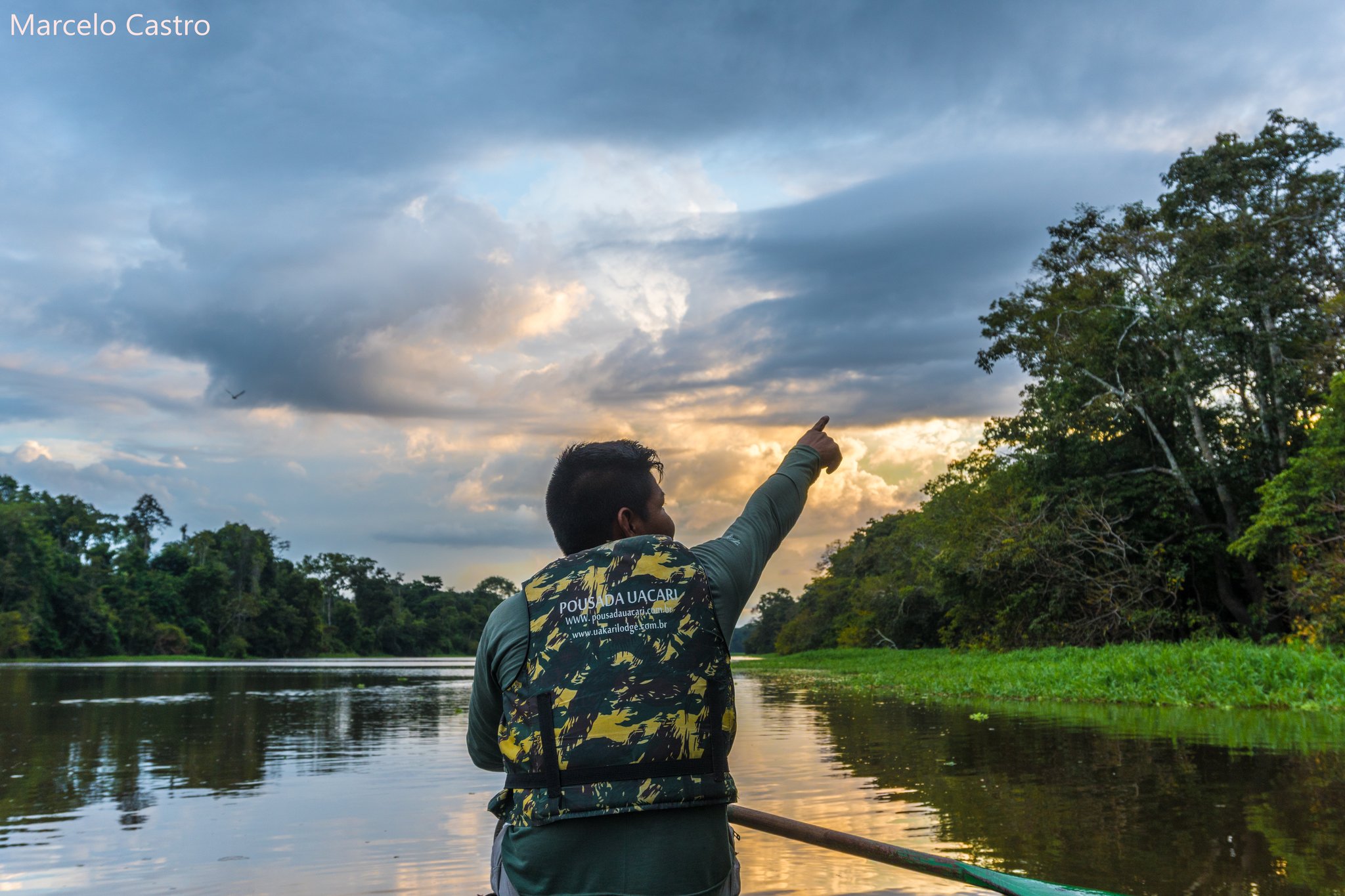 Every bend holds a story — the guide knows exactly where to look. A Pousada Uacari guide points toward the glowing horizon from a boat on a calm Amazon river channel, surrounded by dense rainforest at sunset during an amazon rainforest ecolodge trip in Brazil