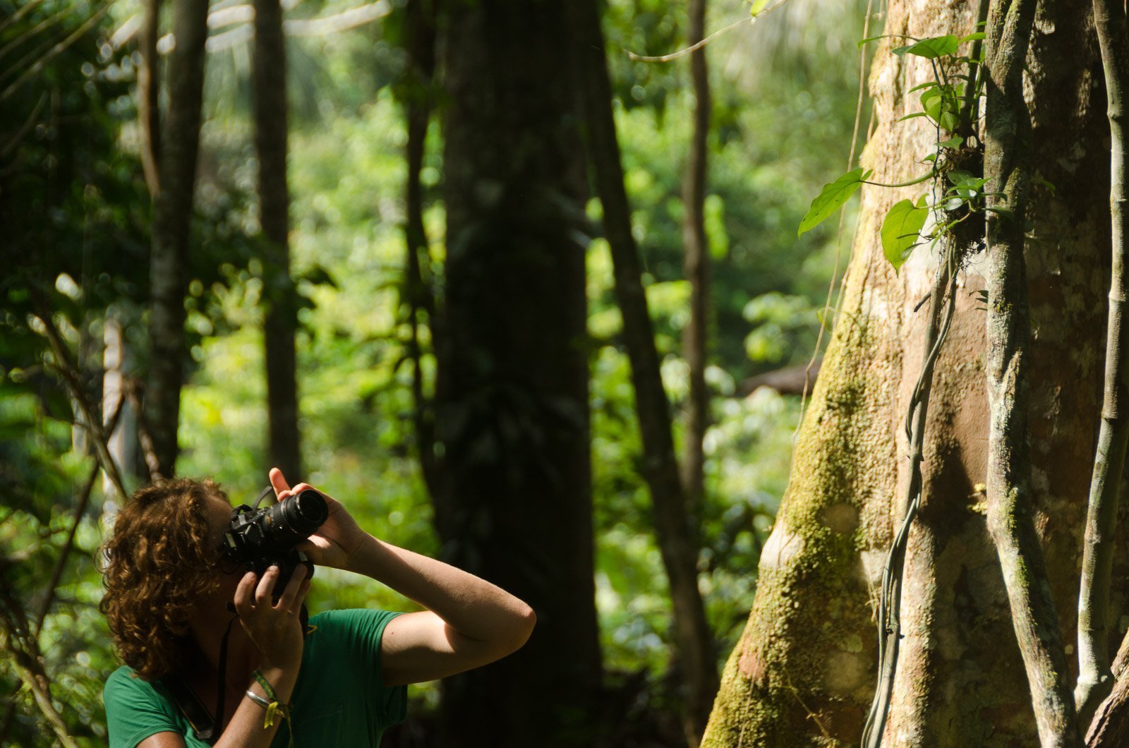 Lens pointed skyward, every giant trunk tells a different story. Photo: Leonide Principe A traveller raises a camera to photograph the canopy during an amazon rainforest ecolodge trip in brazil, standing beside a moss-covered buttress root in a dense tropical forest