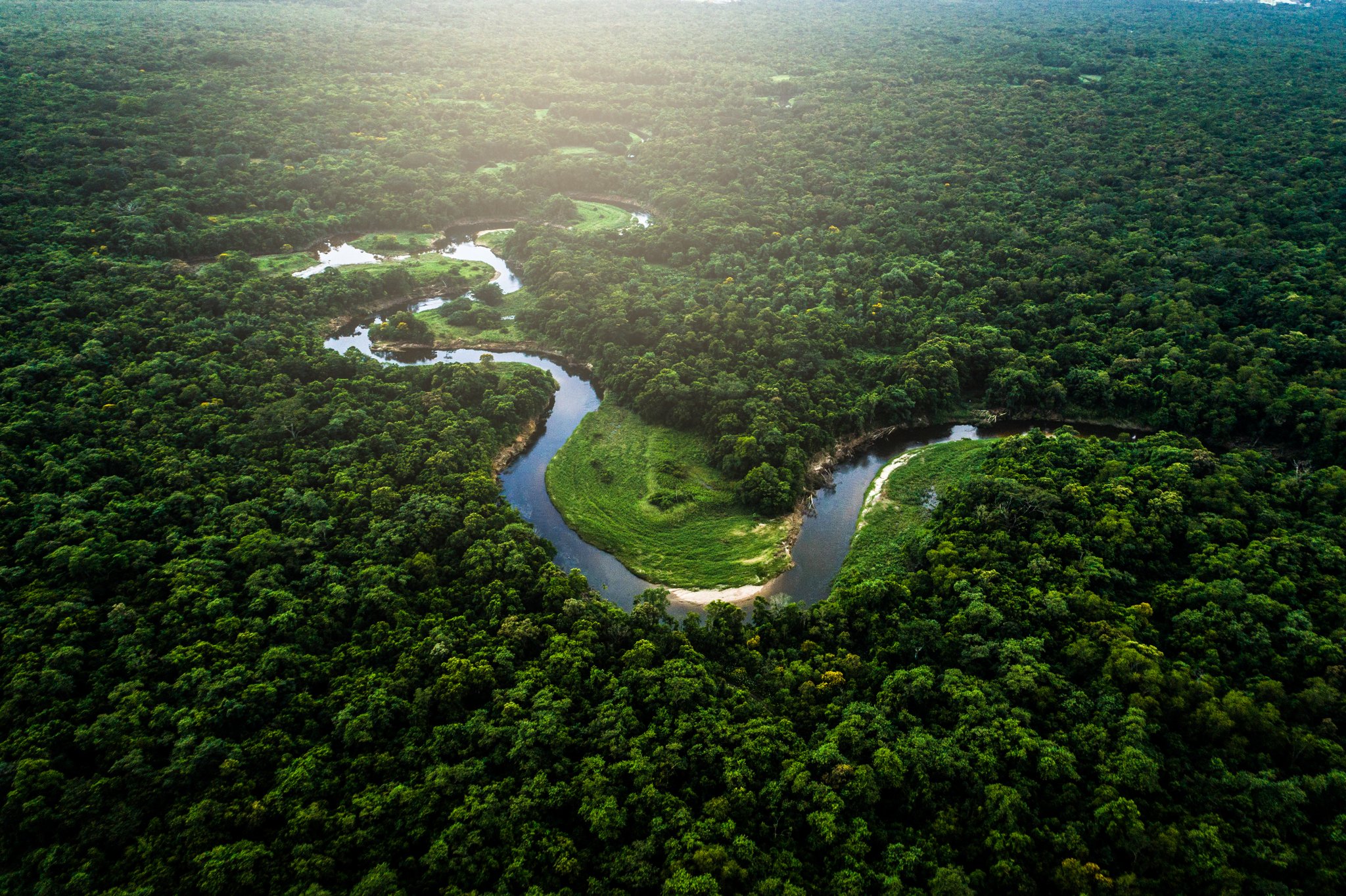 Aerial view of a winding river snaking through endless green canopy on an amazon rainforest tour from manaus