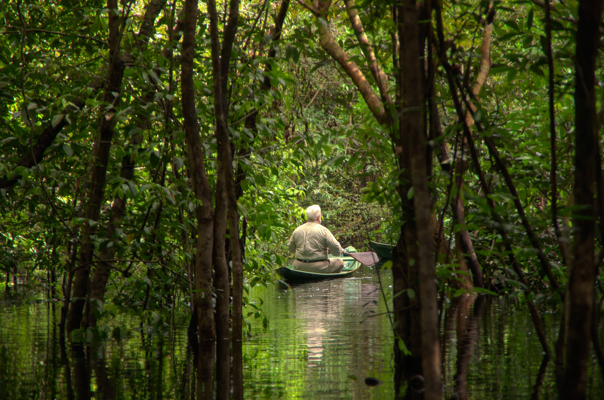Um viajante rema em uma pequena canoa verde por uma floresta amazônica alagada no Brasil, rodeado por árvores altas refletidas na água parada