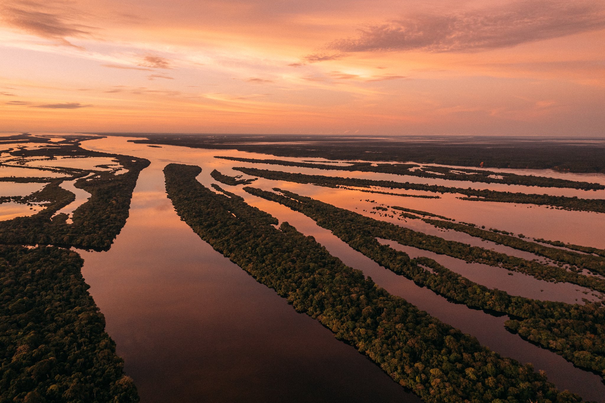 Vista aérea dos canais fluviais sinuosos e ilhas de floresta alagada na Amazônia brasileira sob um céu alaranjado ao pôr do sol