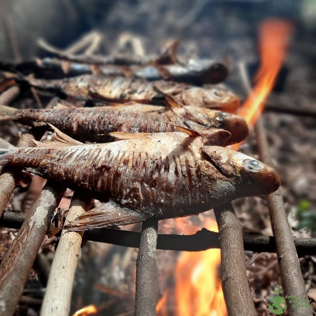 Whole small fish grilling on a rustic wooden rack over open flames during an Amazon survival tour