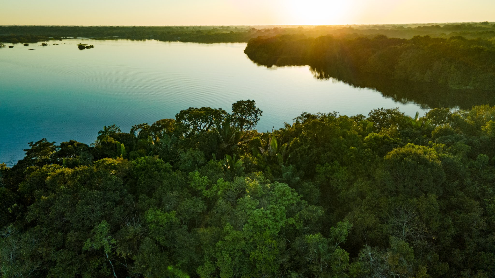 Aerial view of a wide tropical river bordered by dense Amazon jungle canopy at golden-hour sunset, the glowing sky reflected on the still water