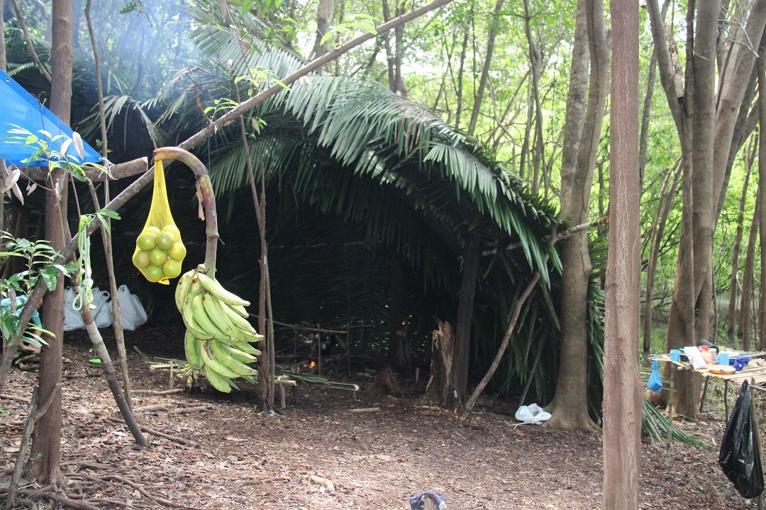 A palm-leaf shelter in a forested Amazon survival tour campsite, with a bunch of green bananas and a net bag of fruit hanging from a branch in the foreground